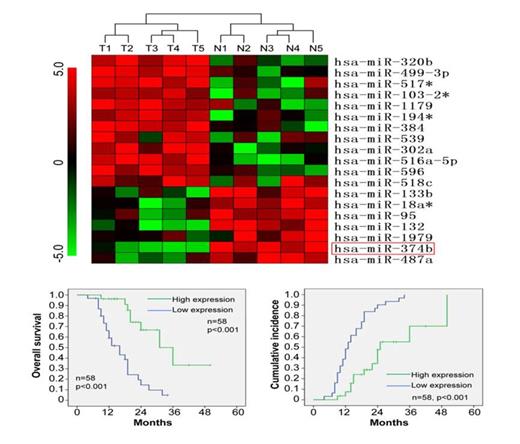 Figure 1:. Down-regulation of miR-374b is associated with poor prognosis of T-LBL