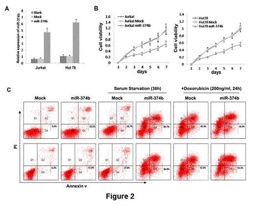 Figure 2:. ectopic expression of miR-374b suppress T-NHL cells proliferation and sensitize cells to both serum starvation- and chemotherapeutic agent-induced apoptosis