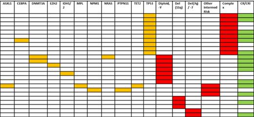Figure 2:. Somatic mutations, cytogenetics and response in the annotated subset of 25 patients