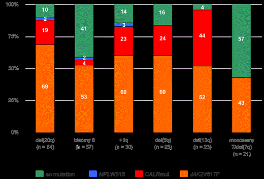 Figure 1:. Distribution of gene mutations in cytogenetic subgroups. The percentage of each mutation is depicted in the columns.