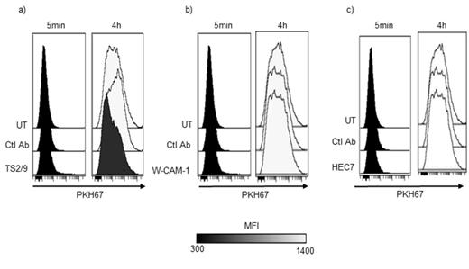 Figure 1:. LFA-3 blocking but not ICAM-1 and PECAM1 decrease trogocytosis from NLC to CLL cells. a) Representative overlay of an experiment of trogocytosis from NLC to CLL cells treated or not by a blocking antibody anti-LFA-3. b) Representative overlay of an experiment of trogocytosis from NLC to CLL cells treated or not by a blocking antibody anti-ICAM-1. c) Representative overlay of an experiment of trogocytosis from NLC to CLL cells treated or not by a blocking antibody anti-PECAM1.