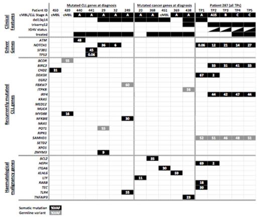 Figure 1:. Heatmap representation of the cohorts clinical features and DNA mutation. Patient 287 haboured the IGHV-unmutated clone at TP2-5.