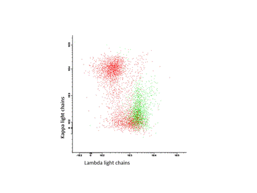 Figure 1:. Representative flow analysis of one pt. with a lambda+, CD38+, CD138+ plasma cell clone (green). Polyclonal CD19+ B cells in red.