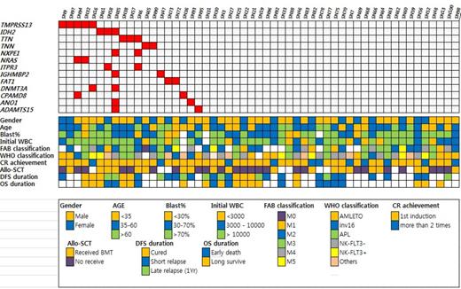 Figure 1. Commonly found SNV's found by WES in Korean AML patients and its relation with clinical parameters
