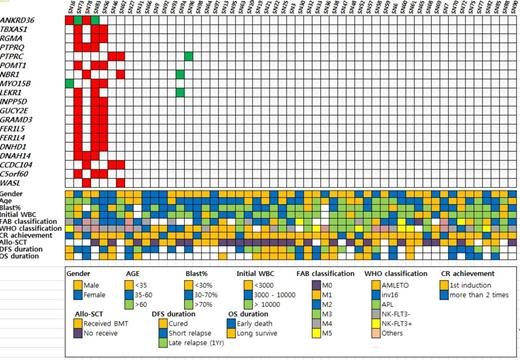 Figure 2. Commonly found CNV's found by WES in Korean AML patients and its relation with clinical parameters