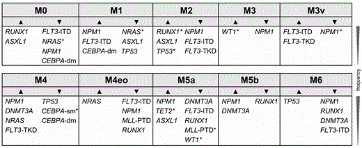 Figure 1:. Morphologic classes and the identified genes with significantly different mutation rates compared to the total cohort: ▲ genes with a higher mutation frequency; ▼ genes with lower mutation rates (significance levels were corrected according to Benjamini-Hochberg, * indicates trends (0.05<p<0.13,), for all other p<0.05)