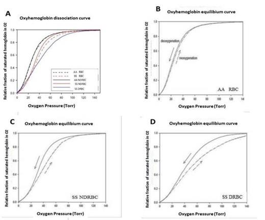 Figure 1. Under standard in vitro conditions (pH=7.4, pCO2 40 mm Hg, 37°C), the positions of oxyhemoglobin (A) dissociation curves of the different whole blood RBC fractions of an SS SCD patient and an AA control, and AA NDRBCs and SS DRBCs; (B) deoxygenation (–) and reoxygenation (- -) curves of the AA RBC fraction; (C) deoxygenation (–) and reoxygenation (- -) curves of the SS NDRBC fraction; (D) deoxygenation (–) and reoxygenation (- -) curves of the SS DRBC fraction.