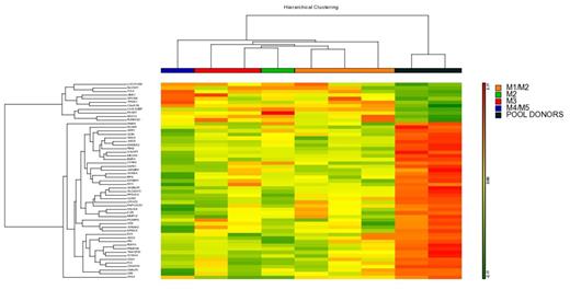 Figure 1. Hierarchical Clustering of the 55 differentially expressed genes.