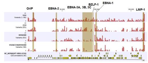 Fig 1. Distribution of variations across the EBV genome in select BL biopsies