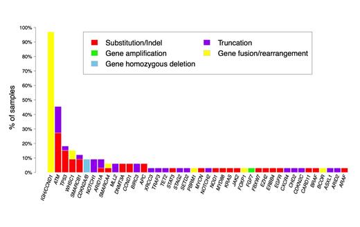 Figure 1. Frequency of genomic alterations in the 33 MCL samples.