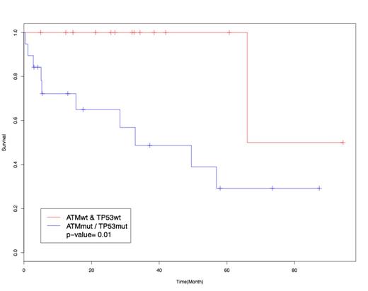 Figure 2. Kaplan–Meier overall survival curves according to ATM and TP53 status.