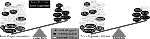 Figure 1. GSEA and upstream regulation analysis based on differentially expressed genes following ixazomib treatment predict dominant activation of tumor suppressors and inhibition of tumor promoters, in favor of strong inhibition of tumor progression in Jurkat (TCL) and L540 (HL).