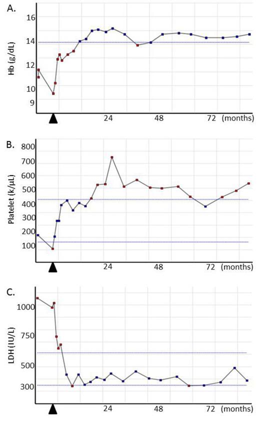 Figure 2. Clinical laboratory values of Patient 4 during treatment. ▲, initiation of lenalidomide.