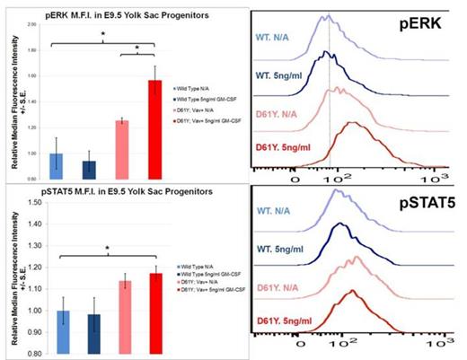 Figure 3. Yolk Sac Myeloid Progenitors from PTPN11D61Y/+; VavCre+ embryos demonstrate Ras-Erk pathway hypersensitivity at baseline and following GM-CSF stimulation. Cultured yolk sac progenitors were stimulated for 30min with 5ng/ml of GM-CSF, processed for intracellular flow cytometry, and stained with the indicated fluorescent antibody. Histograms display representative median fluorescence intensity among CD45+ cells in each sample (n=3). * p<0.05 by two-tailed Student’s t-test. ADDIN EN.REFLIST