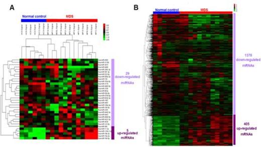 Fig. 1. Affymetrix mcroRNA and mRNA microarray in MDS