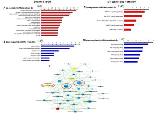 Fig. 3. Go and pathway analysis