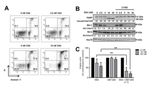 Figure Legend. (A) Annexin V /PI analysis of CLL cells treated with SSA, (B) CLL cells treated with SSA for 24 h followed by immunoblotting for various proteins. (C) Drug combination studies with ABT-263 and SSA at a 1:1 ratio at 10 nM or 20 nM following IL-4/CD40L treatment.