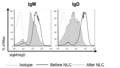 Figure 1. sIgM and sIgD expression levels on CLL cells before and after NLC coculture.