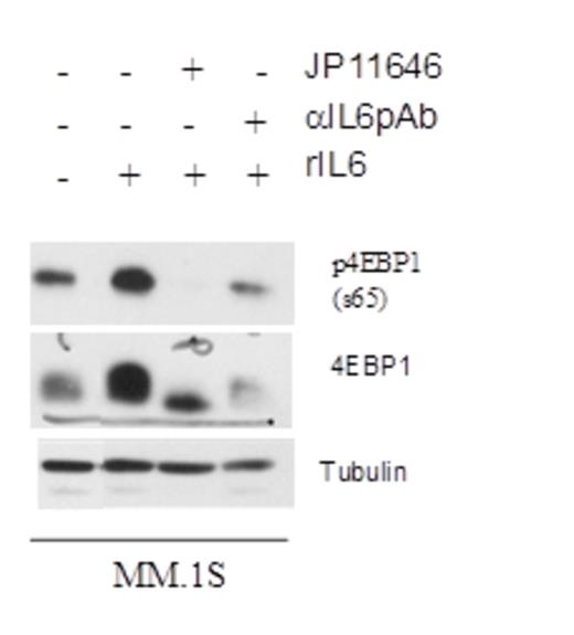 Figure 3:. Inhibiting PIM2 activity prevents PIM2 induced phosphorylation of 4EBP1 by IL-6 in myeloma