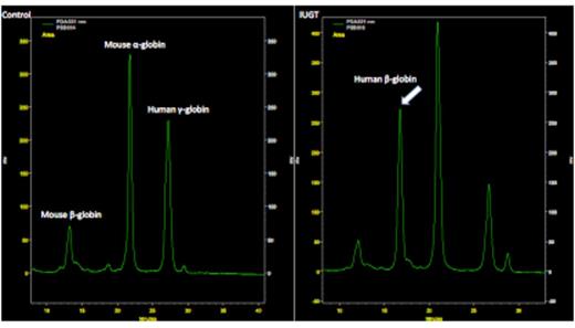 Figure B. HPLC analysis of peripheral blood hemolysates of control versus IUGT treated.