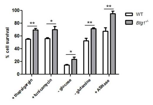 Figure 1. Btg1 is required for survival under cellular stress. Wildtype (WT) and Btg1-/- MEFs were challenged with different treatments that cause nutrient limitation and ER stress. A MTT based assay was used to study the metabolic activity of the cells as a measure of viability. The relative cell survival as compared to untreated cells (set as 100%) is shown. Bars represent average data from four independent experiments ± SEM. 2-tailed t-test was used to test for significance: * p<0.05, ** p<0.01.