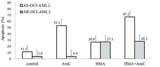 Figure 2. Percentage of apoptotic cells after treatment with 20 µM HMA and/or 10 µM AraC.