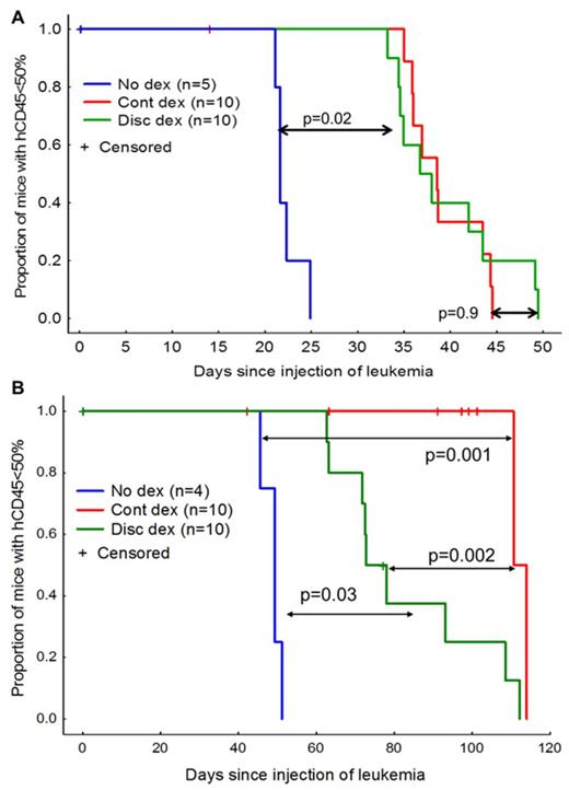 Figure 1. Antileukemic efficacy of continuous (cont) vs discontinuous (disc) dexamethasone for two xenografted patient ALL samples. A, Representative data from mice engrafted with one of the 5 samples that showed equal efficacy with the two dexamethasone regimens (p=0.9). Mice were treated from days 7 – 50. Survival was significantly longer with both dexamethasone regimens than with no dexamethasone (n=5, p=0.02). B, Mice engrafted with a single patient sample show superior anti-leukemic efficacy with cont dexamethasone vs disc dexamethasone (p=0.002). Mice were treated from days 21-91.