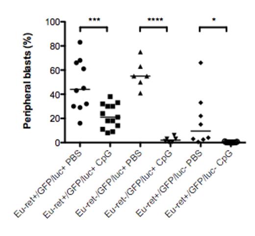 Figure 1. Non-antigen-specific immune stimulation reduces leukemia burden in a tolerized background