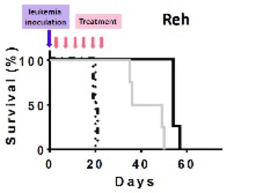 Treatments and outcome of the animals. Dash-dots: PBS, dots: MXD3 ASO and aCD22 Ab unconjugated, gray solid: aCD22 Ab-ASO conjugates at 0.2mg of Ab/kg/dose, and black solid: aCD22 Ab-ASO conjugates at 1mg of Ab/kg/dose