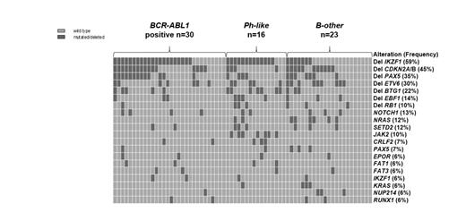 Figure 1:. Distribution of common mutations and deletions in adult B-precursor ALL