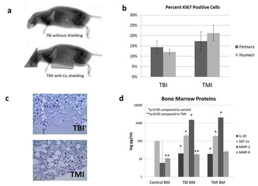 Figure 1. (a) TBI versus TMI with copper shielding, (b) percentage of KI67 positive cells in the bone marrow, (c) photomicrograph of Ki67 staining in the marrow, and (d) significant differences in marrow cytokines, growth factors, and MMPs between treatment groups.