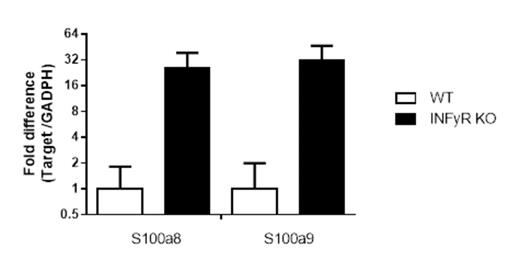 Figure 1. The relative expression of S100A8 and S100A9 in allo-activated T Cells determined by qRT-PCR. IFNyR -/- vs. WT APC activated T cells.