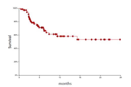 Figure 2. DFS of the whole cohort (n = 71)