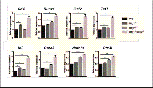 Figure 1. Aberrant T-lineage expression in progenitor B cells deficient for Btg1 and Btg2. Relative expression levels of Cd4, Runx1, Ikzf2, Tcf7, Id2, Gata3, Notch1 and Dtx3l were determined on cDNA generated from B220+ BM cells of wild-type (WT), Btg1-/-, Btg2-/- and Btg1-/-;Btg2-/- mice by quantitative real-time PCR and normalized to the expression of the housekeeping gene TATA box binding protein (TBP). Data represent the mean and SEM of three independent experiments containing cDNA derived from 2 different biological samples. *, P< 0.05, **, P< 0.01, ***, P< 0.001.