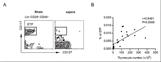 Figure 1. ETPs were reduced during sepsis, and related to thymic atrophy
