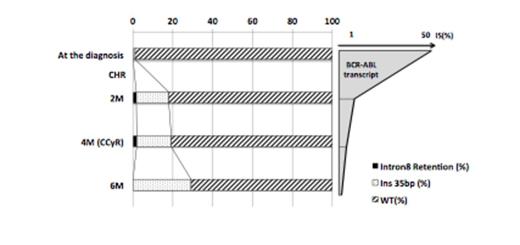 Figure 1. Molecular kinetics in early reduction of BCR-ABL after TKIs.