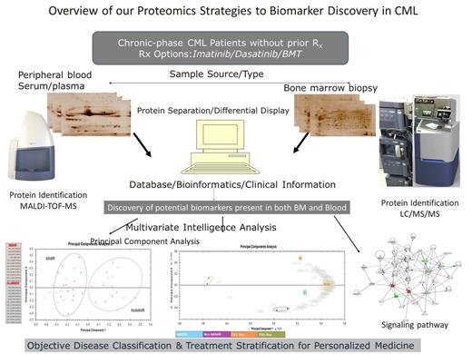Figure 1. Overview of our biomarker discovery proteomics approach. Bone marrow and peripheral blood samples were analyzed by 2-DE and LC/MS/MS. Identified proteins were subjected to multivariate statistical analysis and evaluated for early treatment response and prediction of individualized treatment options. Potential markers would be validated for clinical use.