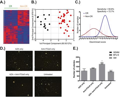 Fig 1. A.) Differential expression of 1148 genes in pre-treatment HSPCs of patients who were subsequently complete (CR) or non-complete responders (non-CR) to AZA. B.) The differential expression of a subset of 15 genes is sufficient to separate the two groups. C.) A predictive AZA response algorithm that utilises gene expression data to prospectively identify patients. D.) Representative images of CFU colonies illustrating improved colony formation following combination drug treatment. E.) Improved CFU colony counts following combination drug treatment. * p <0.05