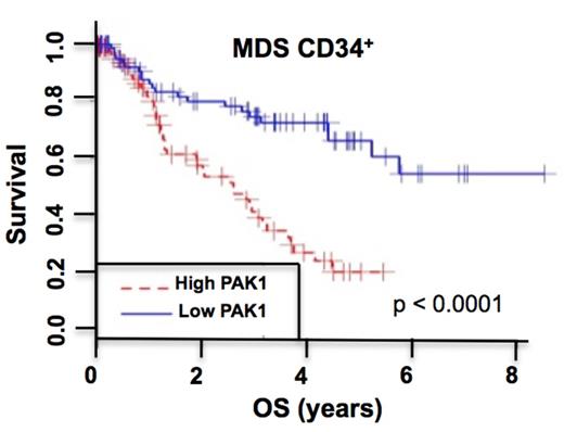 Figure 1:. Kaplan-Meier curve of overall survival of patients with high versus low PAK1 expression in CD34+ bone marrow cells isolated from 183 MDS patients (GSE19429). Patients with high PAK1 expression are those with PAK1 expression levels higher than the median expression level of PAK1 in the dataset. p value (log-rank test) are indicated.