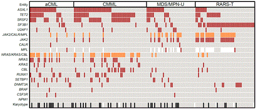 Figure:. Molecular abnormalities and cytogenetics in MDS/MPN entities.