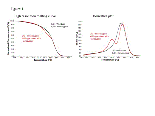 Figure 1. High resolution melting analysis of rs186996510 using a 48-base a pair PCR product amplified with primers Forward 5Õ AACGCTCTCACGCCGCCATGGCCAATGA 3Õ and Reverse 5Õ GCCGGGCCCGCCGCT 3Õ. Rapid-cycle PCR amplification and melting analysis were performed in a LS32 real-time instrument. Amplicons from homozygous, heterozygous and wild-type genotypes, and a mixture of wild-type and homozygous products were melted in the presence of a saturating DNA dye (LCGreen). High resolution melting curves and derivative plot are shown. Heterozygotes, or mixed wild type and homozygous variant produce a large change in the shape of the melting curve (red) in comparison to wild-type and homozygous variant (black).