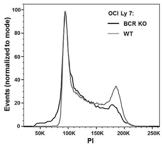 Figure 2. Cell cycle changes with BCR KO in OCI-Ly7.