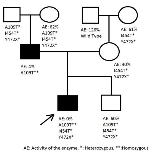 Figure 1:. The pedigree of the patient.
