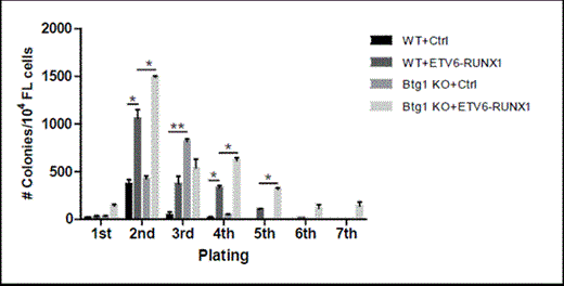 Figure 1. Btg1-deficiency enhances the proliferative capacity of early FL-HPCs expressing ETV6-RUNX1. FL-derived hematopoietic progenitor cells (FL-HPCs) (cKit+Ter119-) were isolated from wild-type and Btg1-/- embryos at day 13.5dpc and transduced with control and ETV6-RUNX1 virus. Control and ETV6-RUNX1 transduced FL-HPCs (1x104 cells) were added 48 hours after transduction in B cell specific methylcellulose in the presence of FLT-3L, IL-7 and SCF. Serial replating was performed under identical conditions. Mean colony counts (and SEM) were determined (>30 cells/colony) after 6-10 days of culture. Data is a representative of 2 independent experiments. *, P< 0.05, **, P< 0.01.