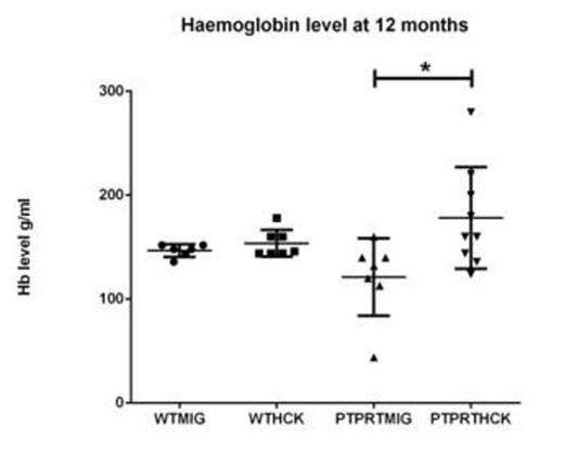 Fig 1. Haemoglobin level of the recipient mice. PTPRTHCK recipients had a higher average Hb compared to the others, although only reaching statistical significance when compared to PTPRTMIG recipients.