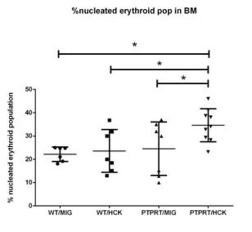 Fig 2. %Nucleated erythroid population in bone marrow by flow. PTPRTHCK recipients had a higher % of nucleated erythroid cells compared to the others