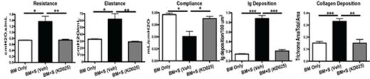 Fig 2. KD025 is an effective therapy for established murine cGVHD. Mice were given KD025 (150 mg/kg) d.28-56. PFTs indicate normal resistance, elastance and better compliance. Lung Ig deposition and fibrosis were comparable to BM controls.
