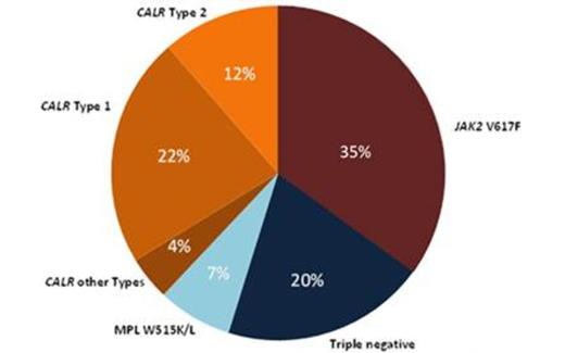 Figure 1. Distribution of 165 ET patients according to their mutational status.