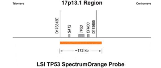 Figure 2. 17p13.1 region for probe selection (below)