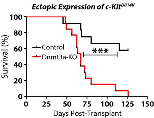 Figure 1. Kaplan-Meier survival curve of mice transplanted with control or Dnmt3a-KO bone marrow progenitor cells transduced with a lentivirus expressing c-KitD814V. *** p <0.001.